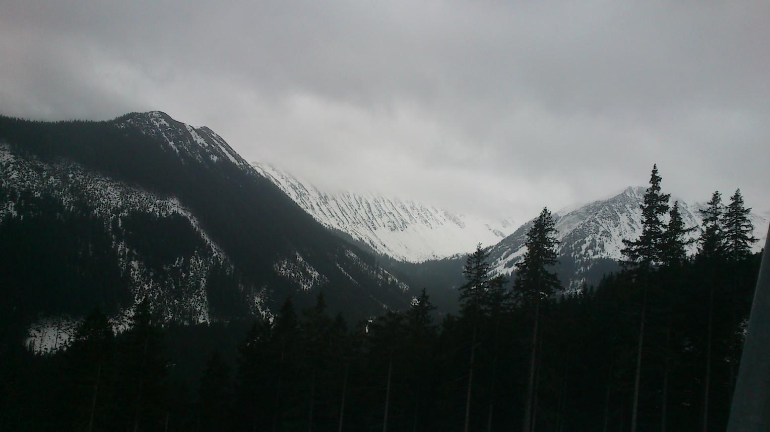 picture.php?albumid=233&pictureid=1862