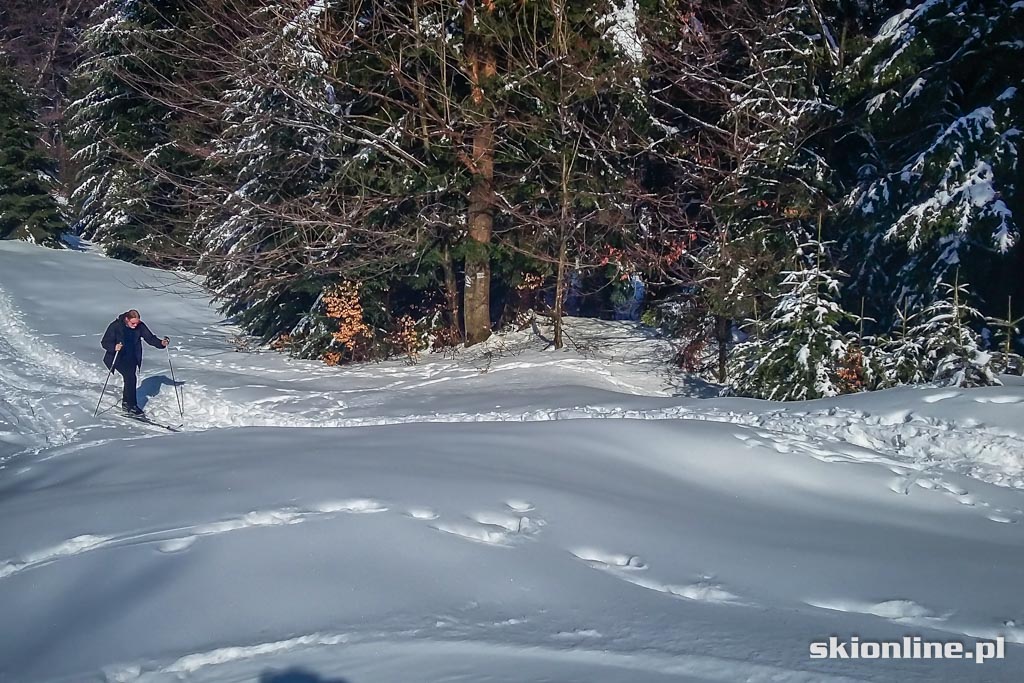 Galeria: Wiosenne skitury - na Turbacz z Koninek
