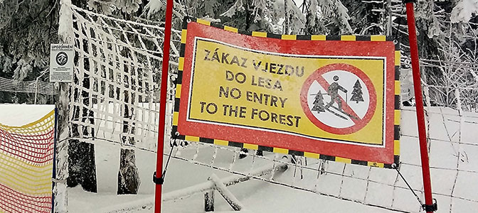 Ośrodek narciarski SkiResort ogranicza ruch poza trasami i wzmacnia ochronę lasów