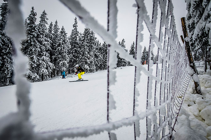 Ośrodek narciarski SkiResort ogranicza ruch poza trasami i wzmacnia ochronę lasów