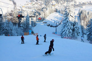 "Free Ski" w polskich górach