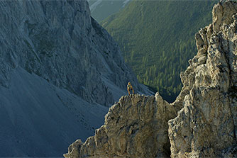 Odkrywaj austriacką naturę z profesjonalistami!