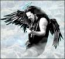 noka