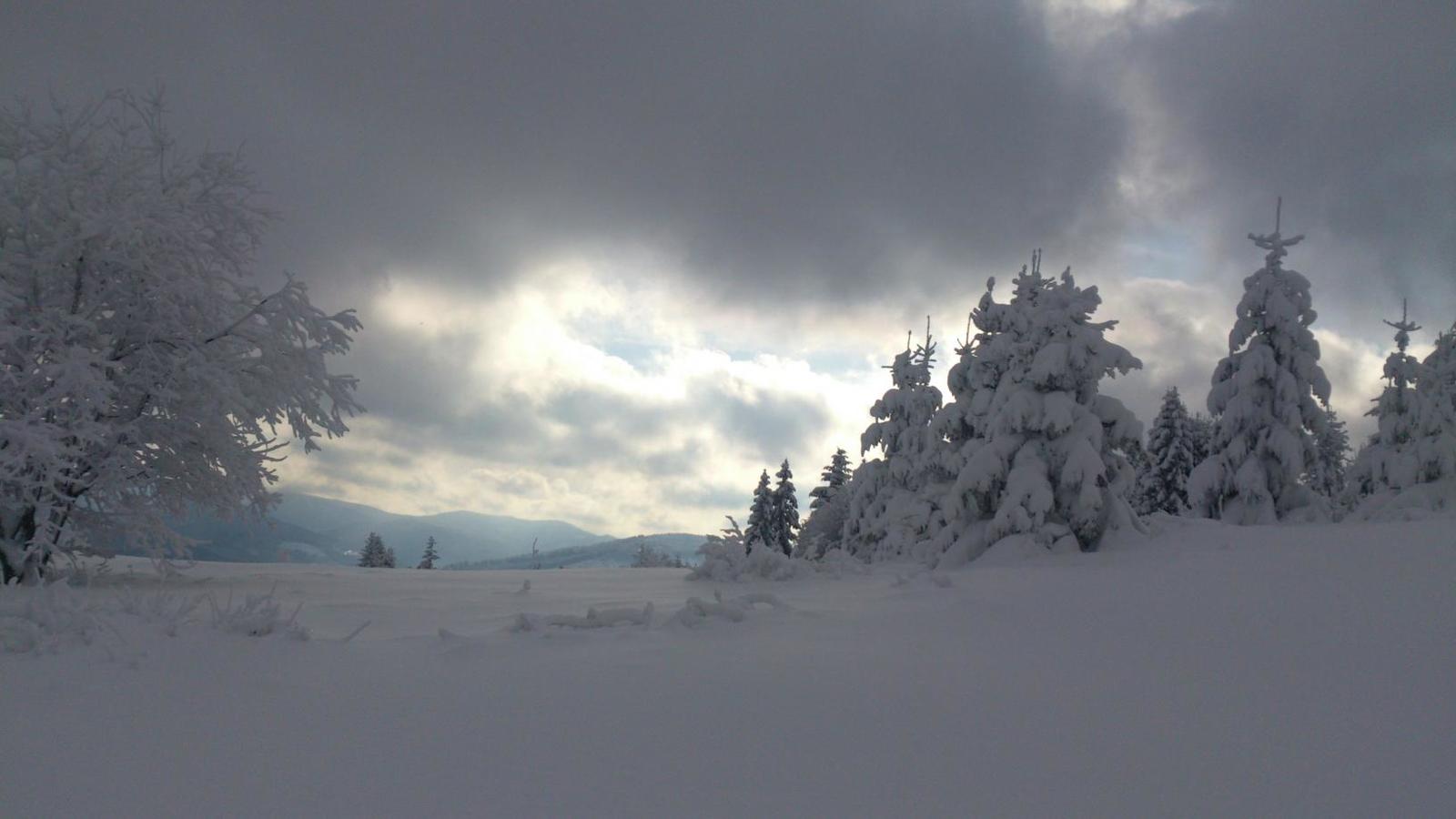 Zwardoń-Ski 2013