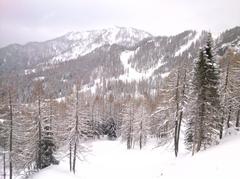 DSC 4218