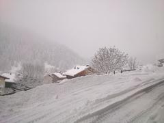 DSC 4237
