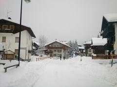 DSC 4256