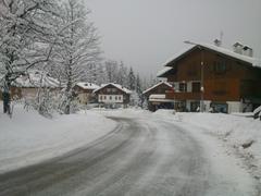 DSC 4260