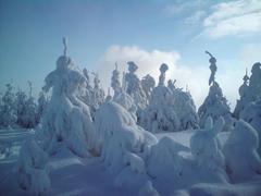 Małe Skrzyczne