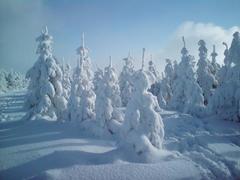 Małe Skrzyczne