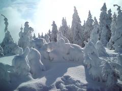 Małe Skrzyczne