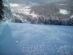 Bieńkula