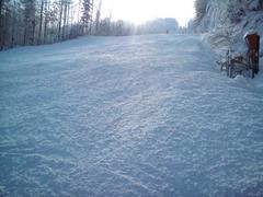 Bieńkula