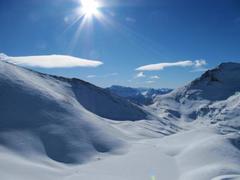 IMG 5464