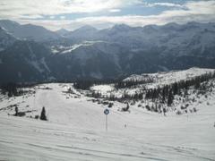 SDC19078