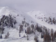 DSC00558