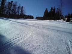 Bieńkula