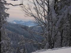 Wyłaniały się za horyzontem Tatry !!