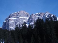 P3170157