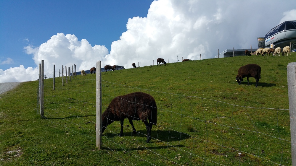 20160815_152047.jpg