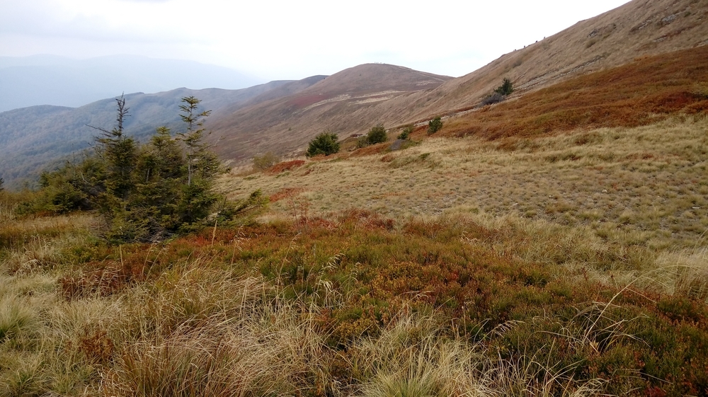 20161002_114252.jpg