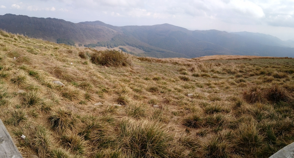 20161002_115601_Pano.jpg