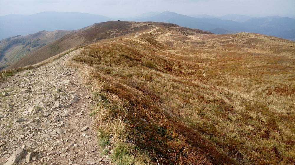20161002_125934.jpg