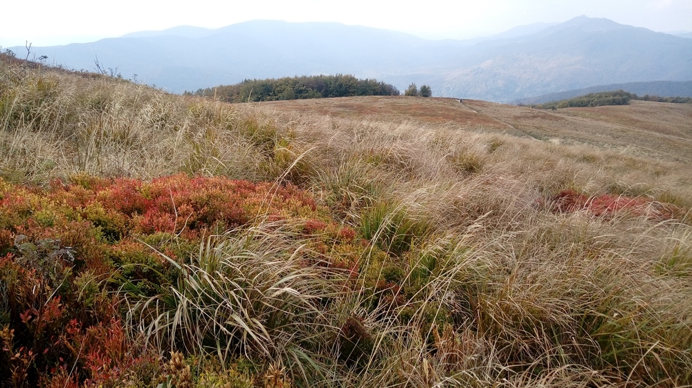 20161002_132621.jpg