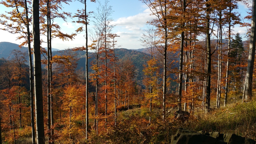 20161023_154106.jpg