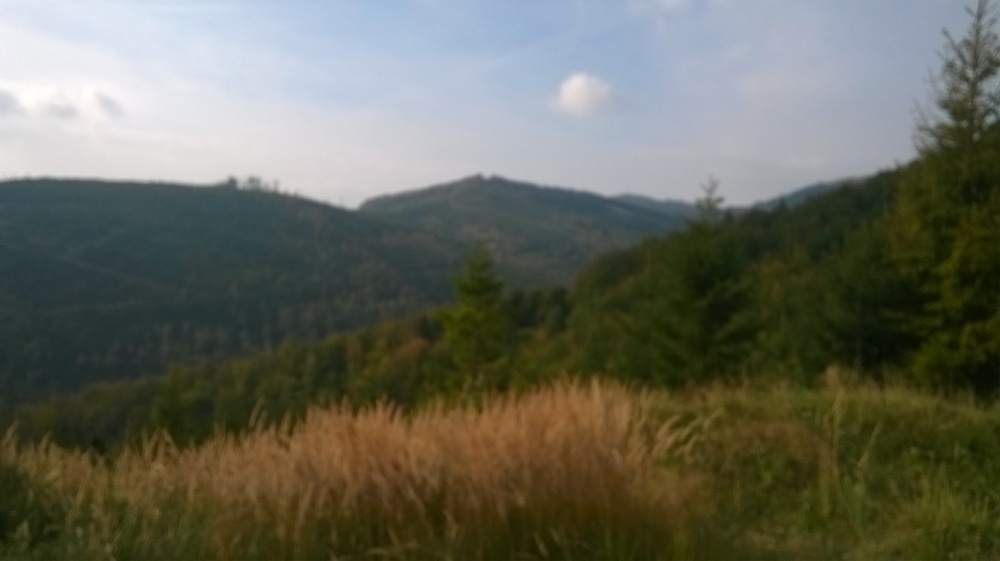 WP_20161002_013.jpg