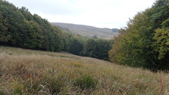 PA020840.JPG