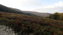 PA020853.JPG