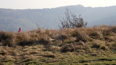 PA020940.JPG