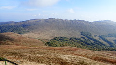 PA021065.JPG