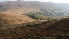 PA021110.JPG
