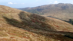 PA021113.JPG