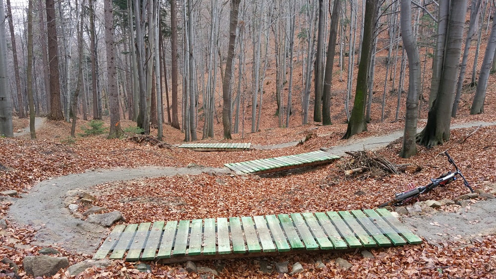 20161120_124521.jpg