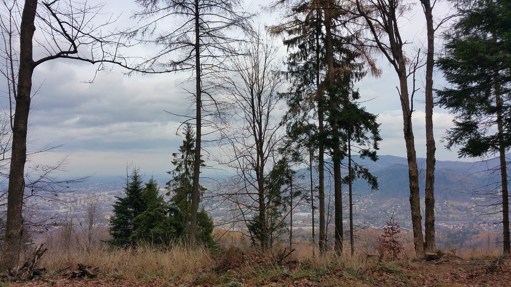 20161120_133108.jpg