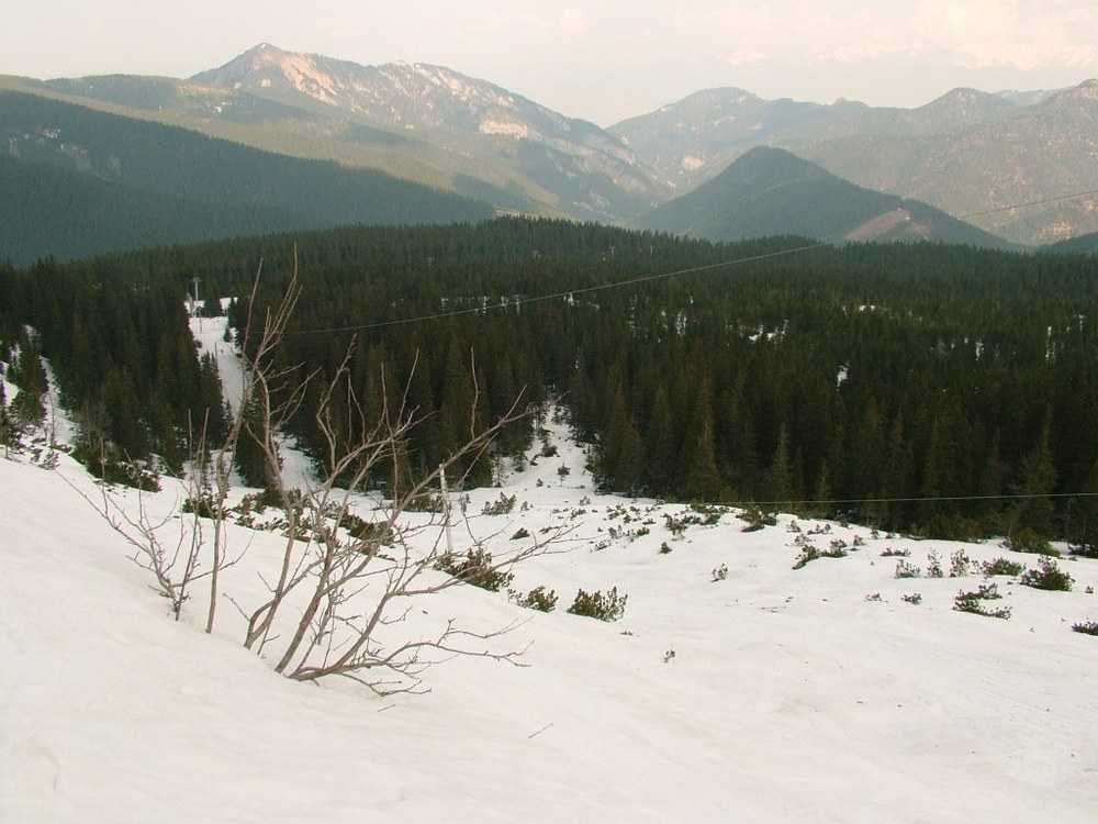 DSCF2379.JPG