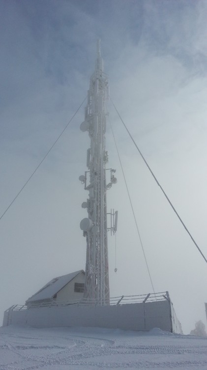 20130119_110023.jpg