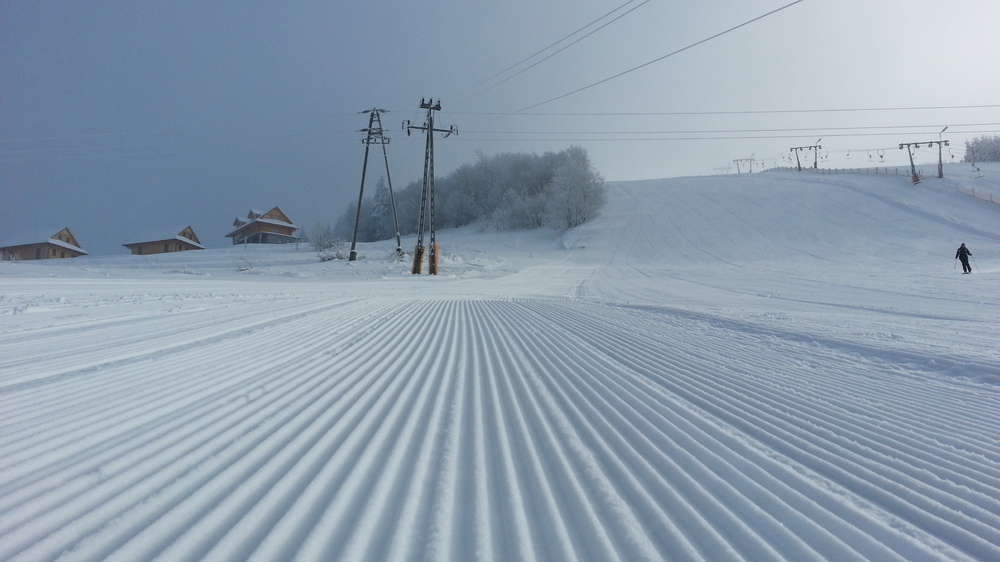 20130119_110536.jpg