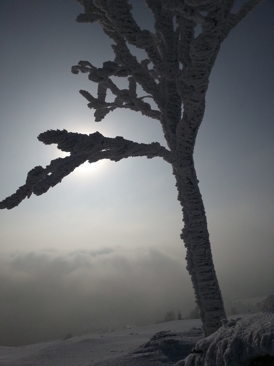 20130119_120453.jpg