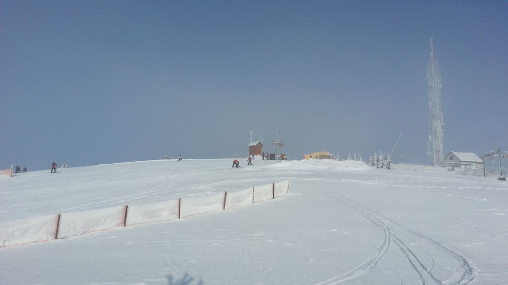 20130119_120500.jpg