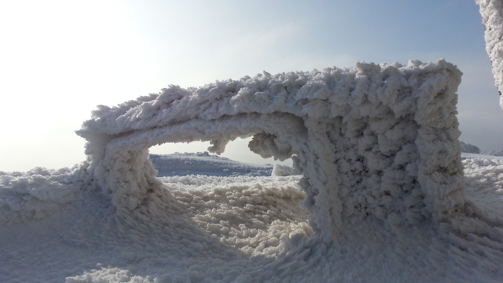 20130119_120945.jpg