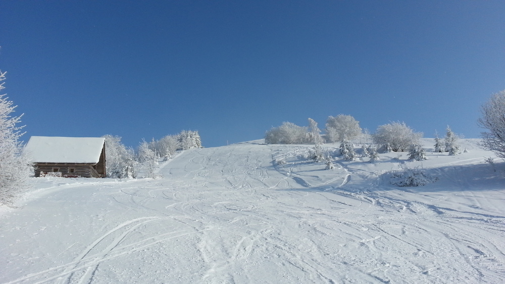 20130119_122043.jpg