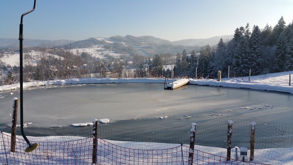 20161207_123931.jpg