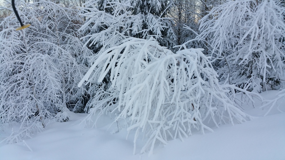 20161207_144031.jpg