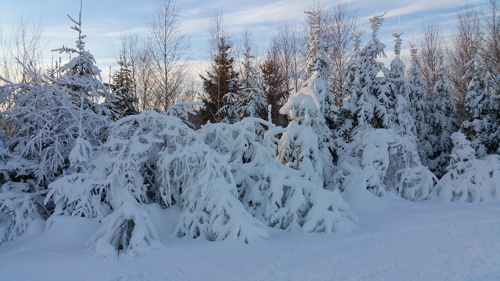 20161207_144105.jpg