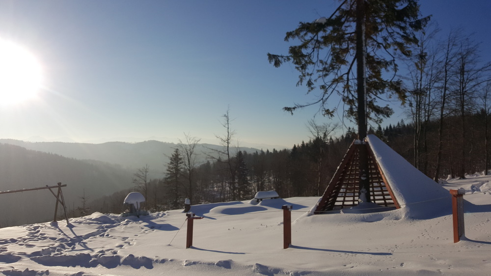 20161209_090250.jpg