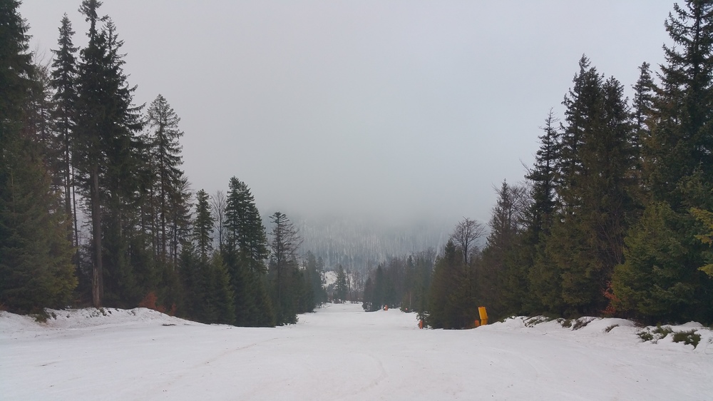 20161211_083859.jpg